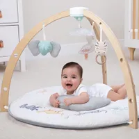 Aden + Anais Baby Play Activity Gym Mat