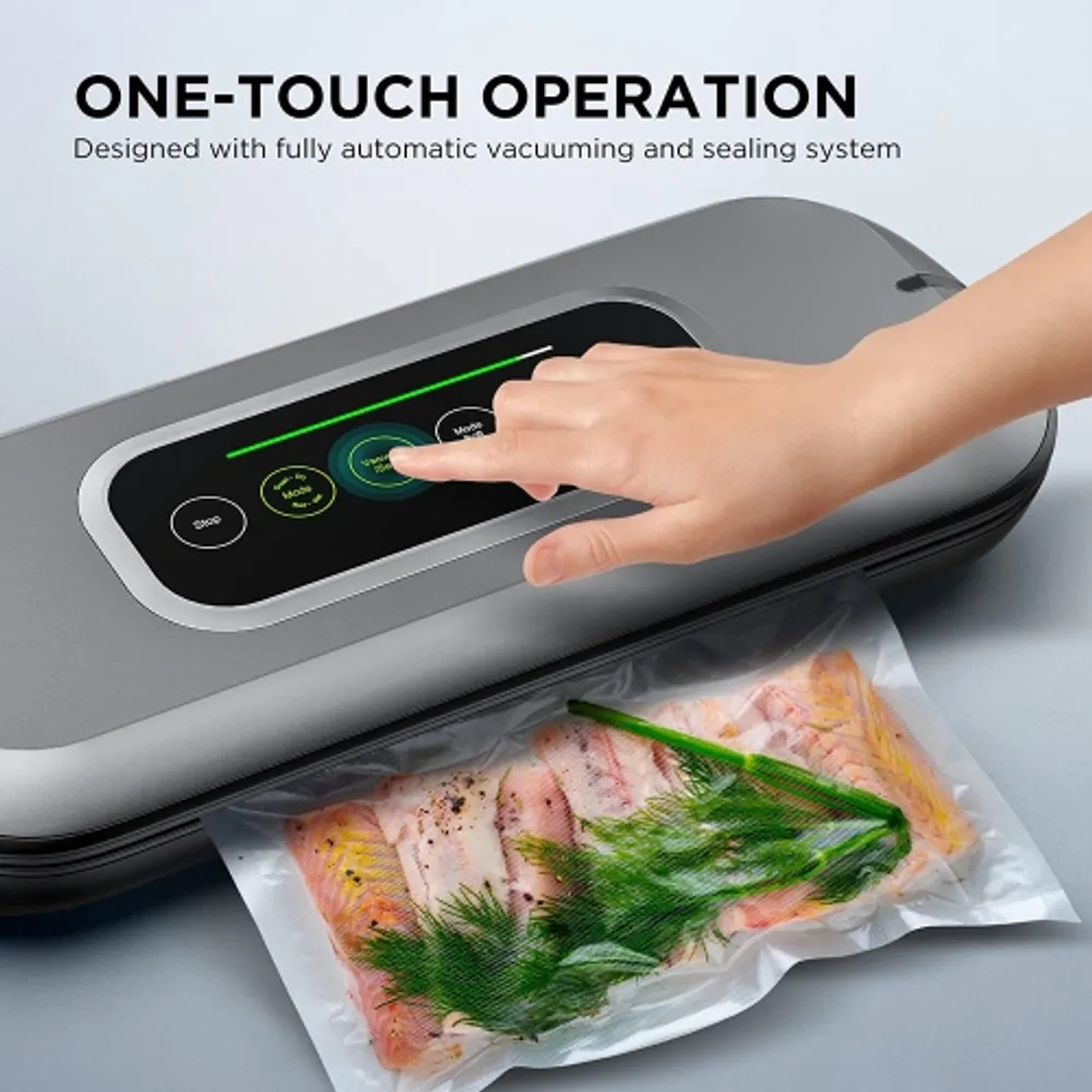 ABOX V63 Vacuum Sealer Machine, Powerful Vacuum Sealing System with  Built-in Cutter, Dry Moist Food Modes, Compact Food Vacuum Sealer for Food  Saving,Including Starter Kit Roll and Holder