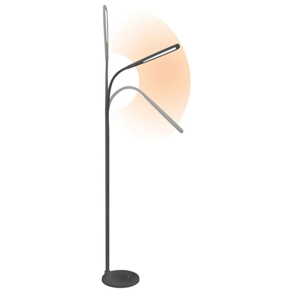 OttLite Natural Daylight Traditional LED Floor Lamp - Black