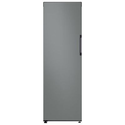 Samsung BESPOKE 11.4 Cu. Ft. Frost-Free Upright Freezer (RZ11T7474AP/AA) - Custom Panel Ready