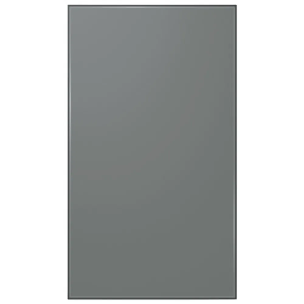 Samsung Panel for BESPOKE 4-Door Flex French Refrigerator - Bottom Panel