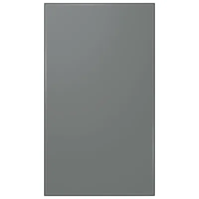 Samsung Panel for BESPOKE 4-Door Flex French Refrigerator - Bottom Panel
