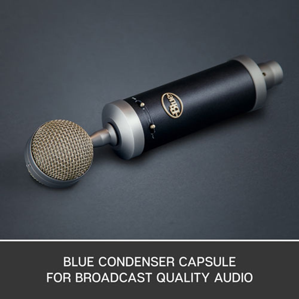 Blue Microphones Baby Bottle SL XLR Condenser Microphone