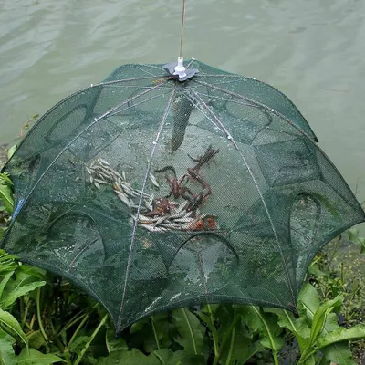 ISTAR Fishing Bait Trap Foldable Fish Minnow Crab Crayfish Crawdad Shrimp Net Trap Cast Net Dip Cage Collapsible Easy Use Hexagon 6 Hole Fishing Accessories | Bramalea City Centre ISTAR Fishing Bait Trap Foldable Fish Minnow Crab Crayfish Crawdad Shrimp Net Trap Cast Net Dip Cage Collapsible Easy Use Hexagon 6 Hole Fishing Accessories | Bramalea City Centre