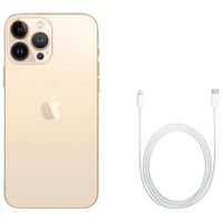 Apple iPhone 13 Pro Max 256GB - Gold - Unlocked