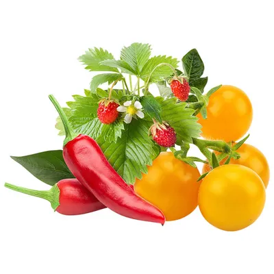 Recharge de capsules de semences de fruits et légumes de Click & Grow : fraise sauvage, piment fort, tomate jaune - Paquet de 9