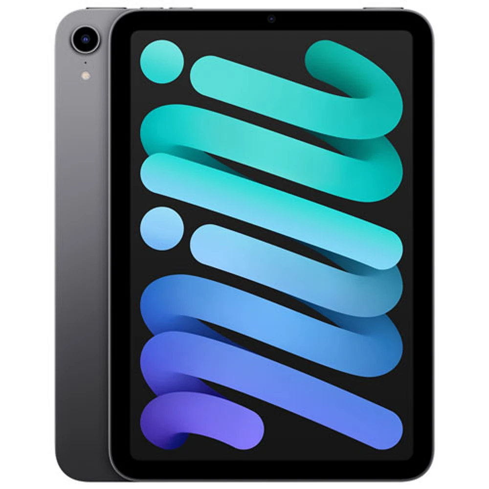 iPad mini 8,3 po 256 Go avec Wi-Fi d'Apple (6e génération) - Gris cosmique