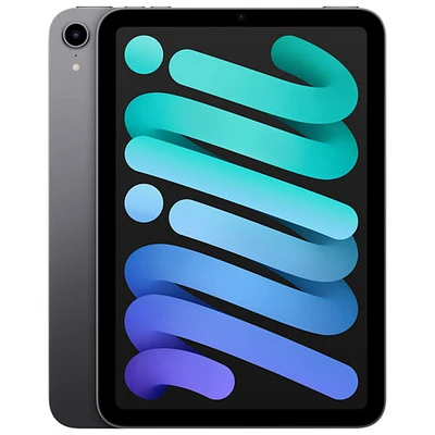 iPad mini 8,3 po 256 Go avec Wi-Fi d'Apple (6e génération) - Gris cosmique