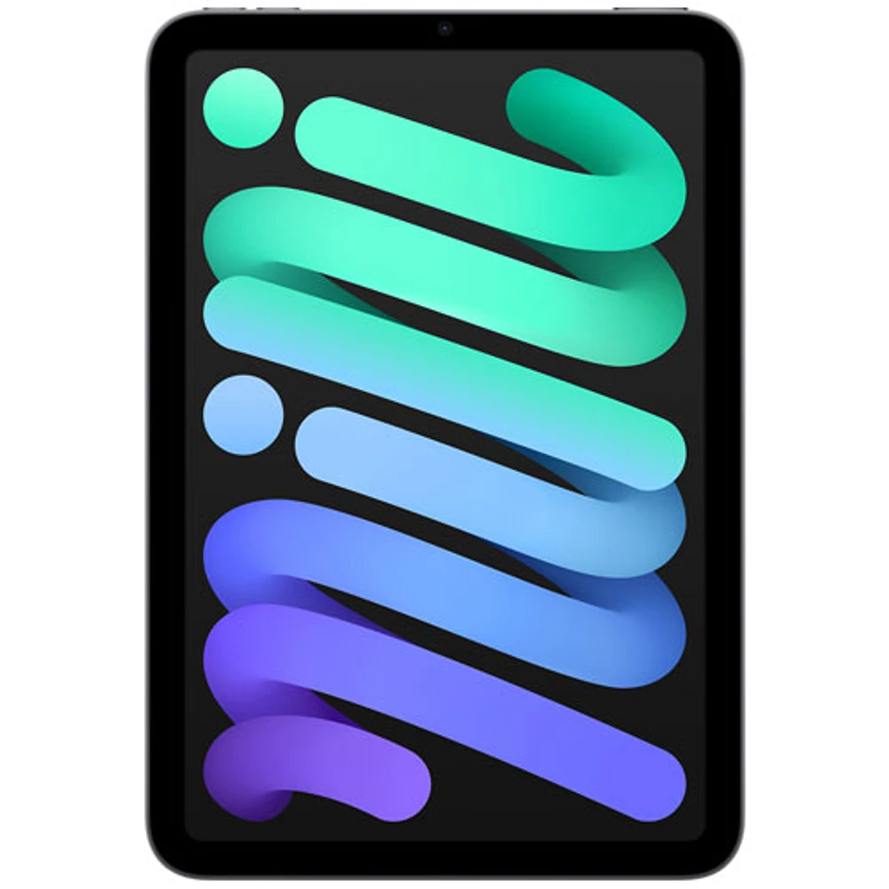 iPad mini 8,3 po 256 Go avec Wi-Fi d'Apple (6e génération) - Gris cosmique