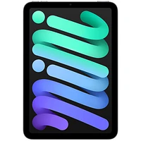 iPad mini 8,3 po 256 Go avec Wi-Fi d'Apple (6e génération) - Gris cosmique