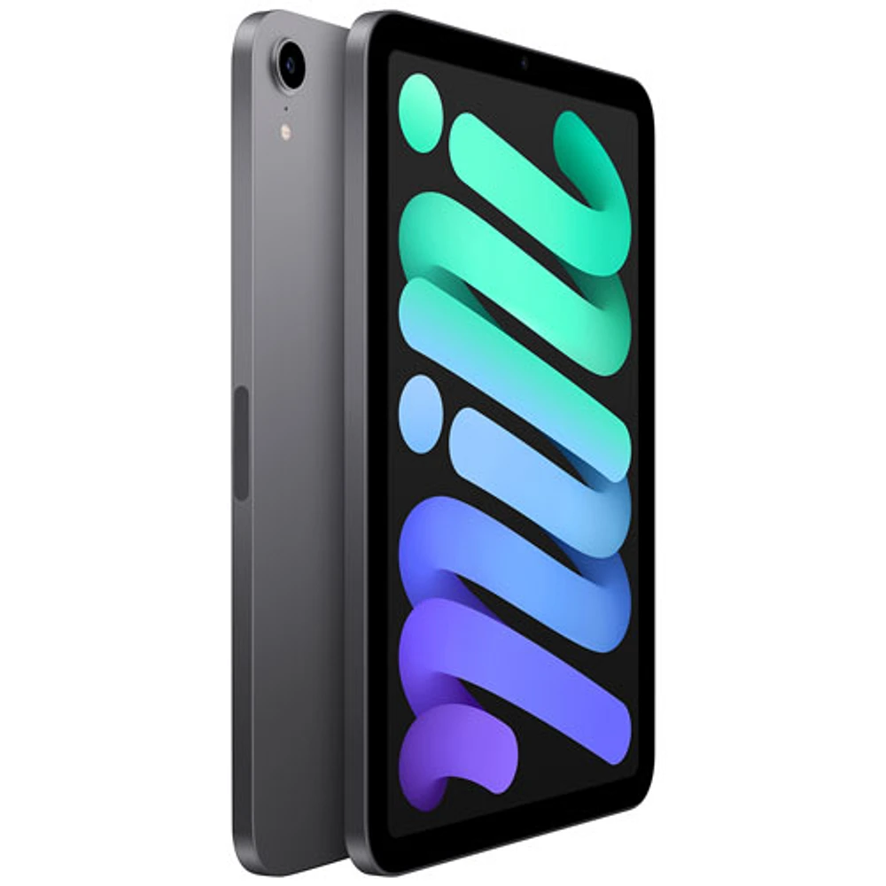 iPad mini 8,3 po 256 Go avec Wi-Fi d'Apple (6e génération) - Gris cosmique