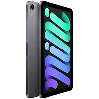iPad mini 8,3 po 256 Go avec Wi-Fi d'Apple (6e génération) - Gris cosmique