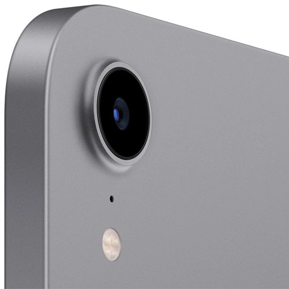 iPad mini 8,3 po 256 Go avec Wi-Fi d'Apple (6e génération) - Gris cosmique