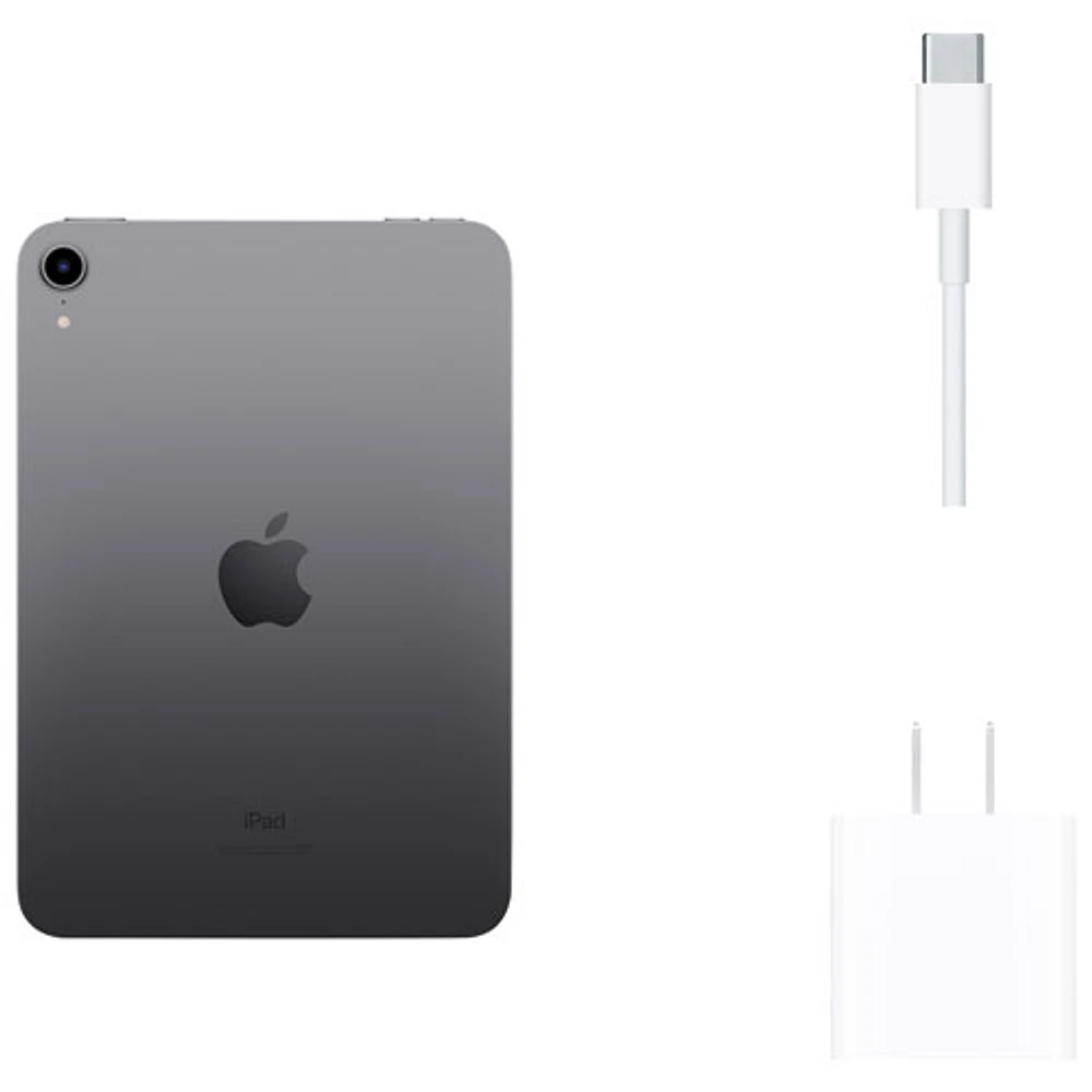 iPad mini 8,3 po 256 Go avec Wi-Fi d'Apple (6e génération) - Gris cosmique