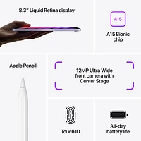 iPad mini 8,3 po 256 Go avec Wi-Fi d'Apple (6e génération) - Gris cosmique