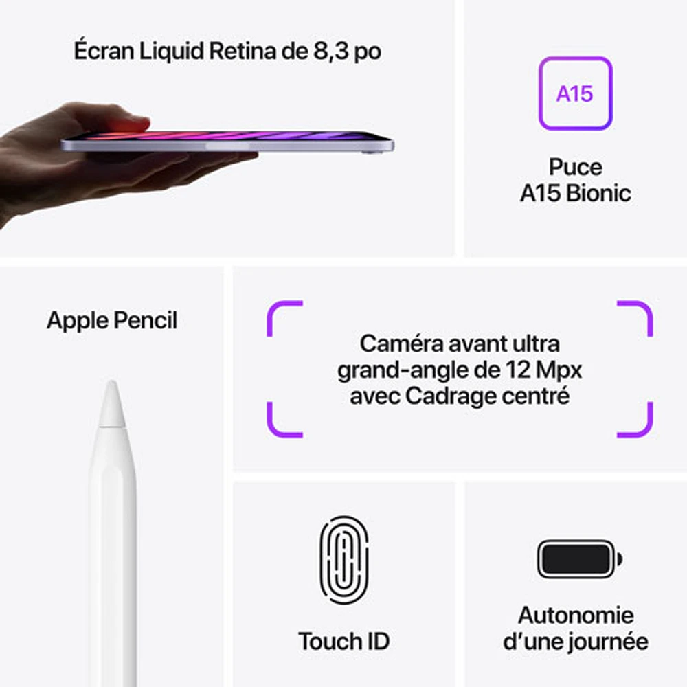 iPad mini 8,3 po 256 Go avec Wi-Fi d'Apple (6e génération) - Gris cosmique