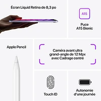 iPad mini 8,3 po 256 Go avec Wi-Fi d'Apple (6e génération) - Gris cosmique