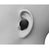 Sony WF-C500 In-Ear Sound Isolating True Wireless Earbuds - Black