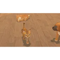 My Universe: Puppies and Kittens (Switch)