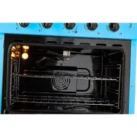 Unique Classic Retro 30" 3.9 Cu. Ft. Fan Convection Freestanding Gas Range (UGP-30CR