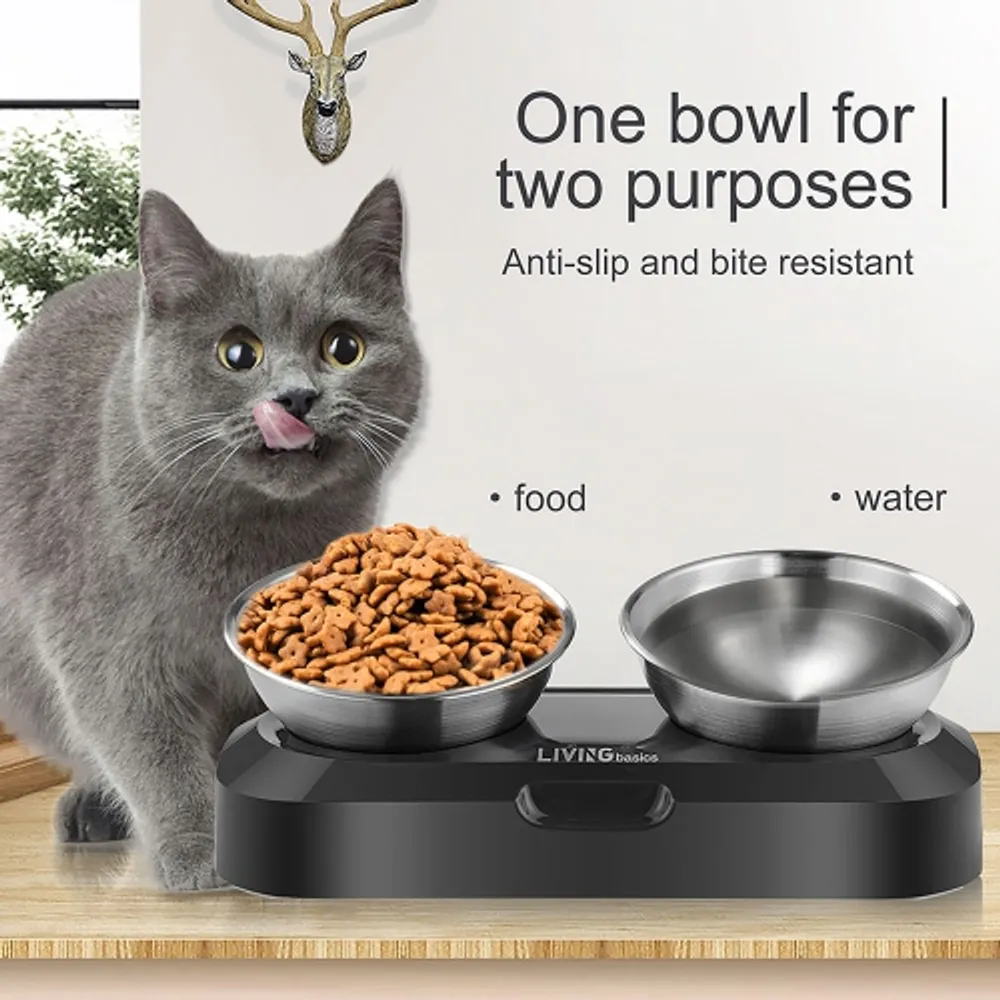 Tilted Elevated Feeder Bowl Pet Cat Dog Bowl Raised Cat Food Water