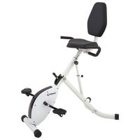 FitDesk 4020 Standing Desk Bike