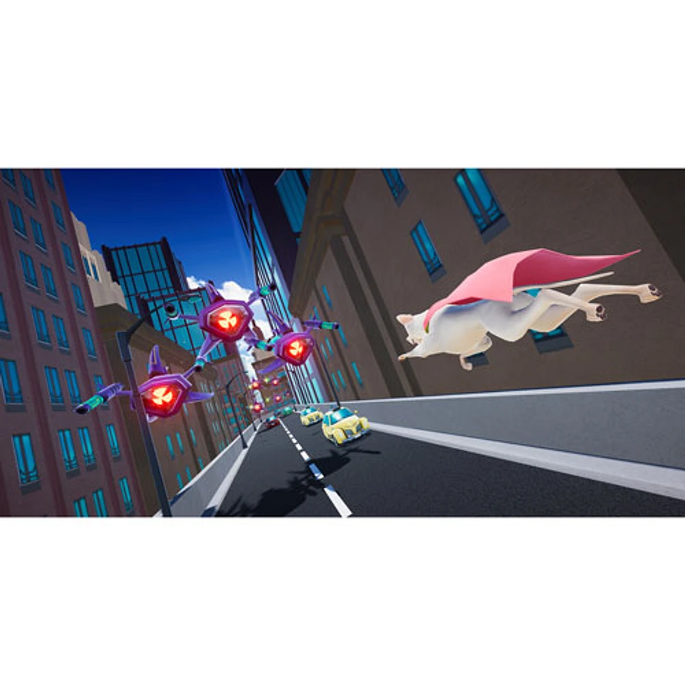 DC League of Super-Pets: The Adventures of Krypto and Ace (Switch)