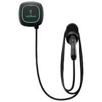 Wallbox Pulsar Plus Level 2 Smart Electric Vehicle Charging Station (J1772 / 48A / Hard-Wired / 25ft.)