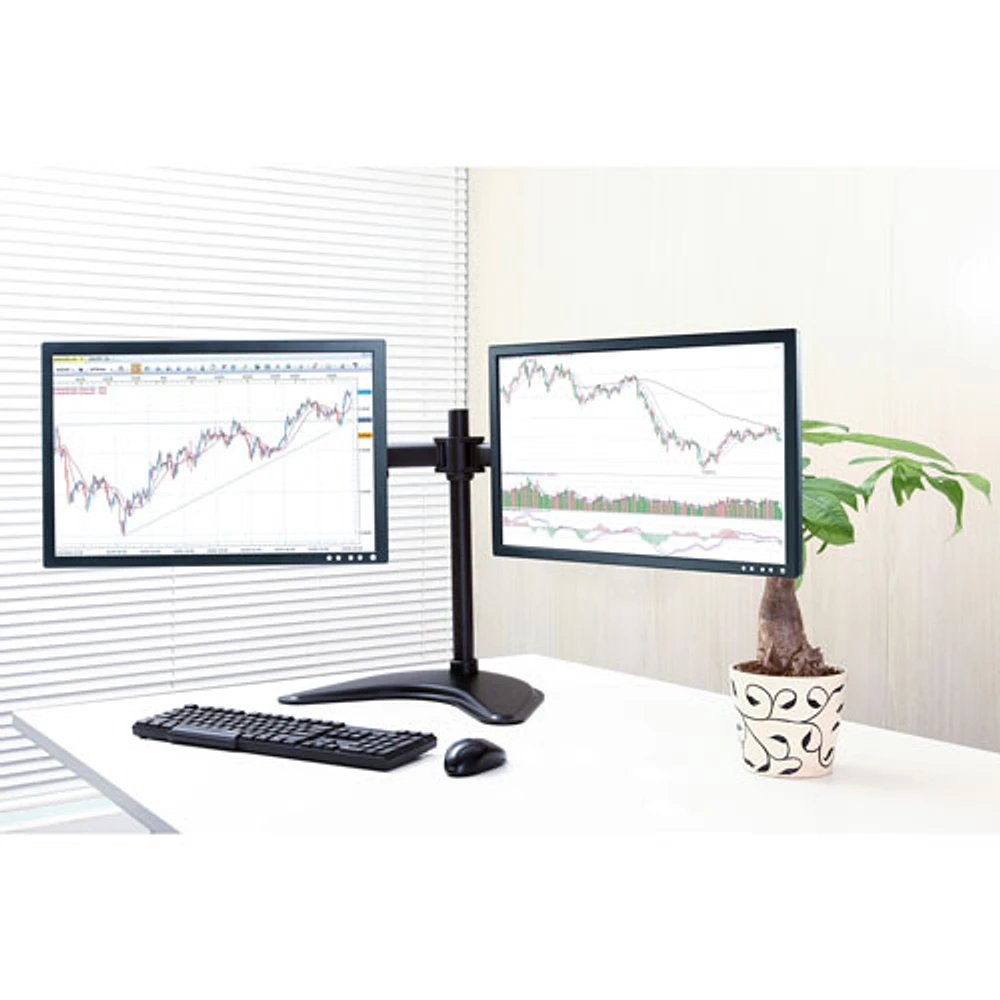 Support double d'IntekView pour moniteur (MS302)