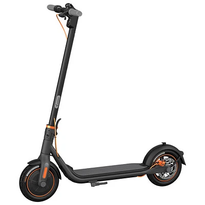 Trottinette électrique Ninebot KickScooter F40 de Segway (moteur 350 W/autonomie 30 km/vitesse maximale 30 km/h) - Gris foncé