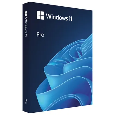 Microsoft Windows 11 Pro (PC