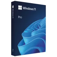 Microsoft Windows 11 Pro (PC