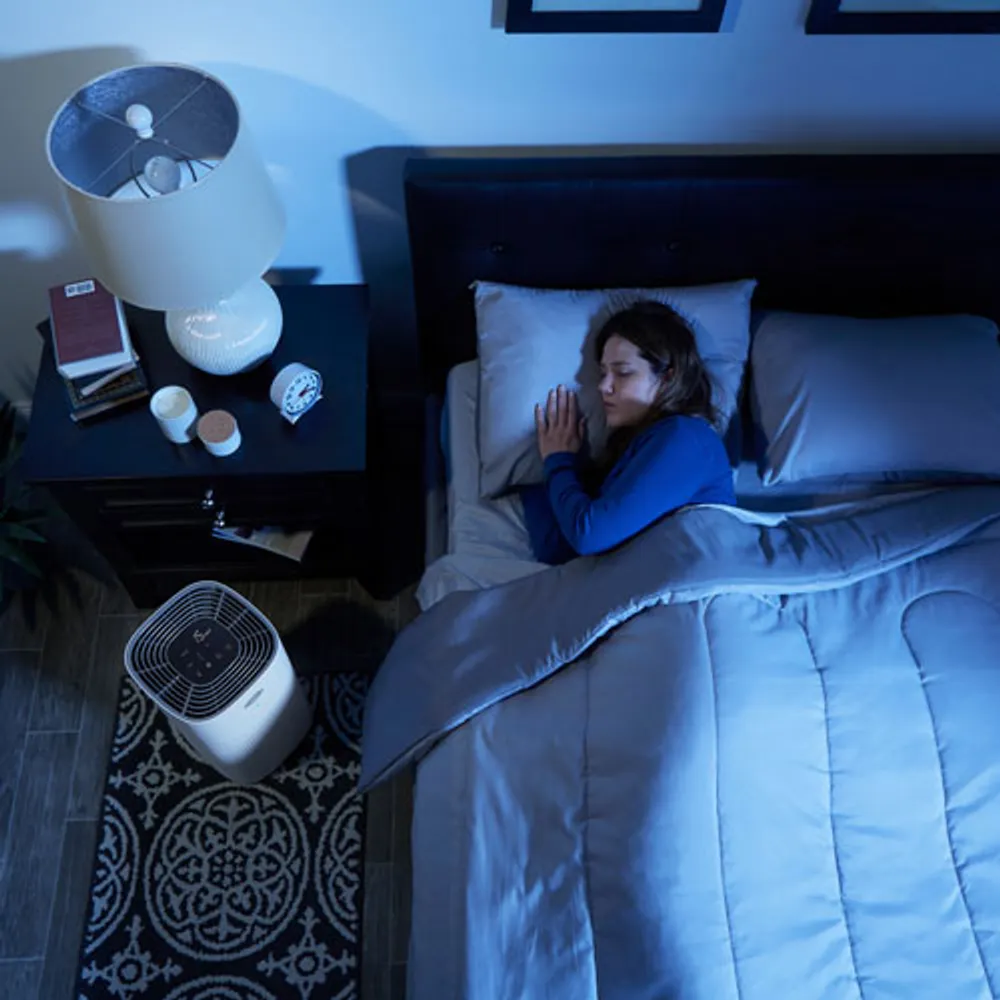 Purificateur d'air Clorox avec filtre HEPA - Blanc