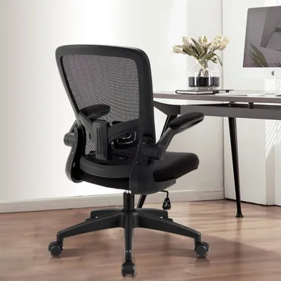 Coolhut Office Chair with Lumbar Support and Flip-up Arms, Ergonomic Desk  Chair, Black