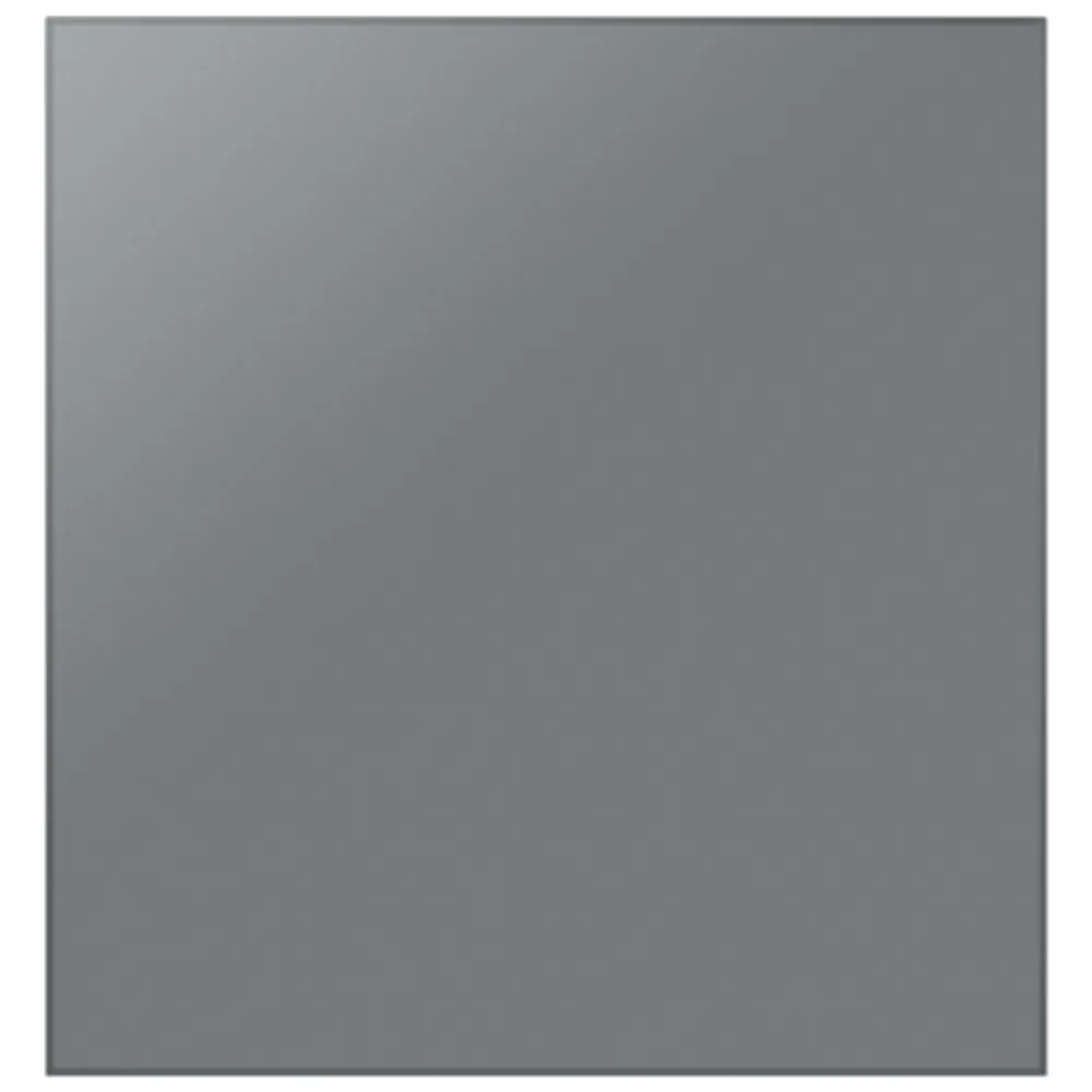 Samsung BESPOKE Dishwasher Door Panel - Satin Grey