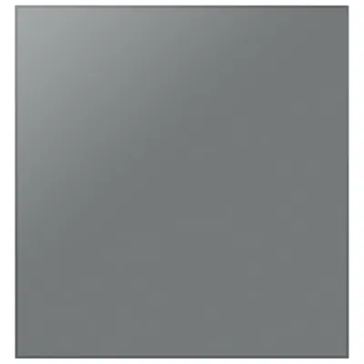 Samsung BESPOKE Dishwasher Door Panel - Satin Grey