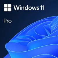 Microsoft Windows 11 Pro (PC) - Digital Download