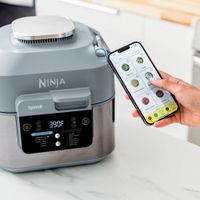 Ninja Speedi Rapid Cooker & Air Fryer - 5.67L (6QT) - Sea Slat Grey