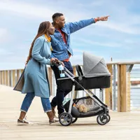 Système de transport modulaire Omni Plus avec siège d'auto de bébé LiteMax Sport d'Evenflo - Gris