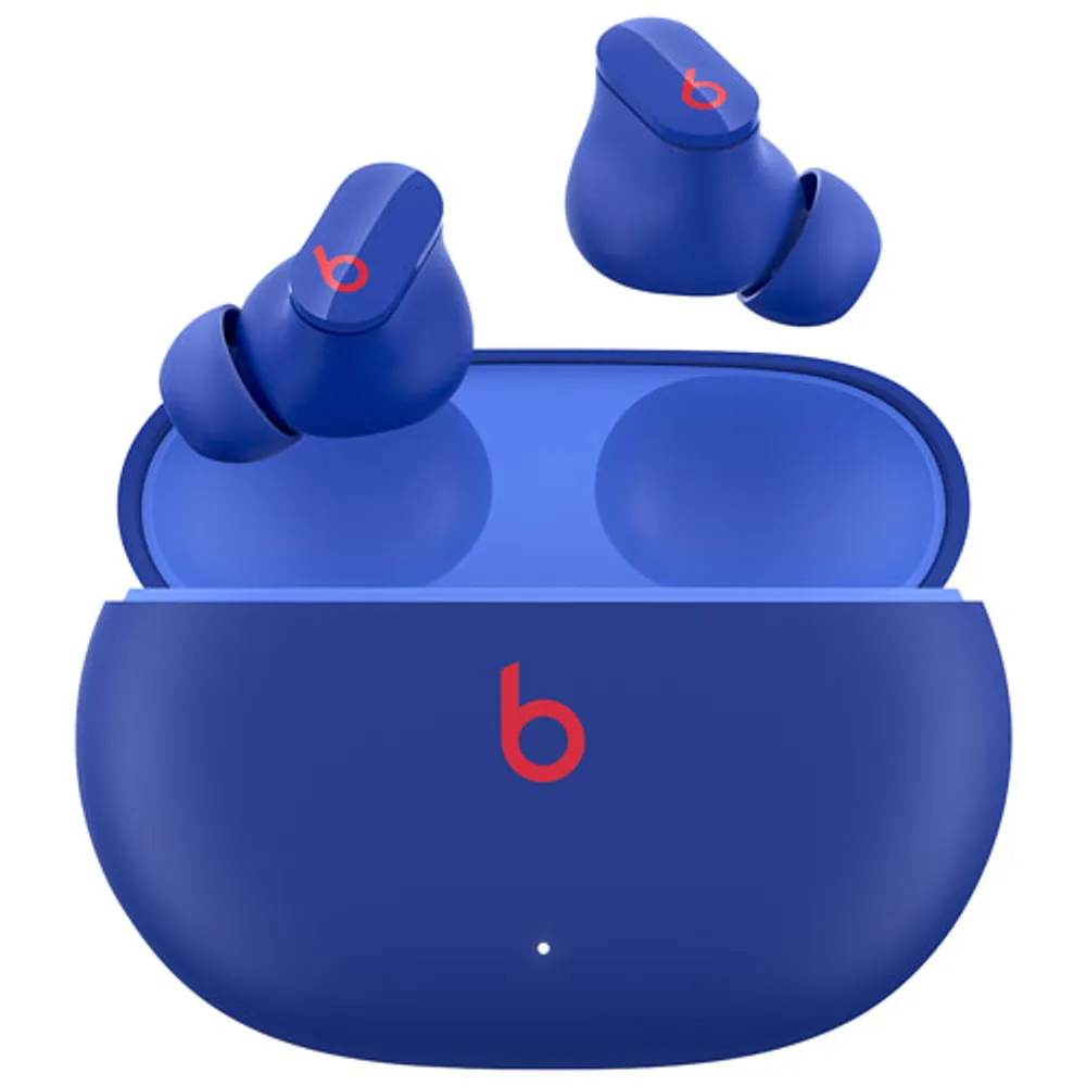 Beats by Dr. Dre Powerbeats Pro In-Ear True Wireless Earbuds