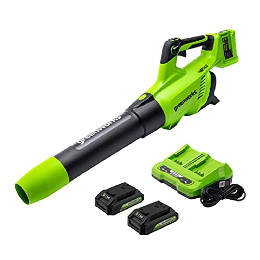 Litheli 2*20V Cordless Brushless Leaf Blower