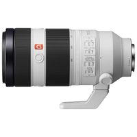 Sony E-Mount Full-Frame FE 100-400mm f/4.5-5.6 GM OSS G Master Telephoto Lens