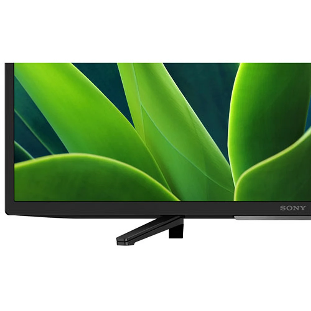 Téléviseur intelligent Google HDR DEL HD 720p de 32 po W830K de Sony (KD32W830K)