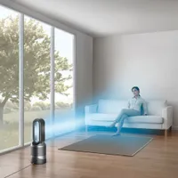 Purificateur d'air Pure Hot + Cool Link HP02 de Dyson avec filtre HEPA - Noir acier/Nickel