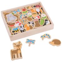 Bigjigs Toys Woodland Magnets