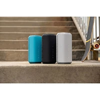 Haut-parleur sans fil Bluetooth étanche SRS-XE300 de Sony - Noir