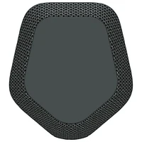 Haut-parleur sans fil Bluetooth étanche SRS-XE300 de Sony - Noir