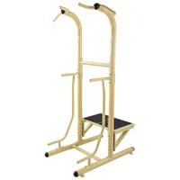 Stamina Outdoor Power Tower Pro