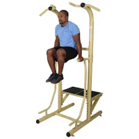 Stamina Outdoor Power Tower Pro