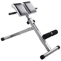 Banc d'exercice Hyperextension de Stamina